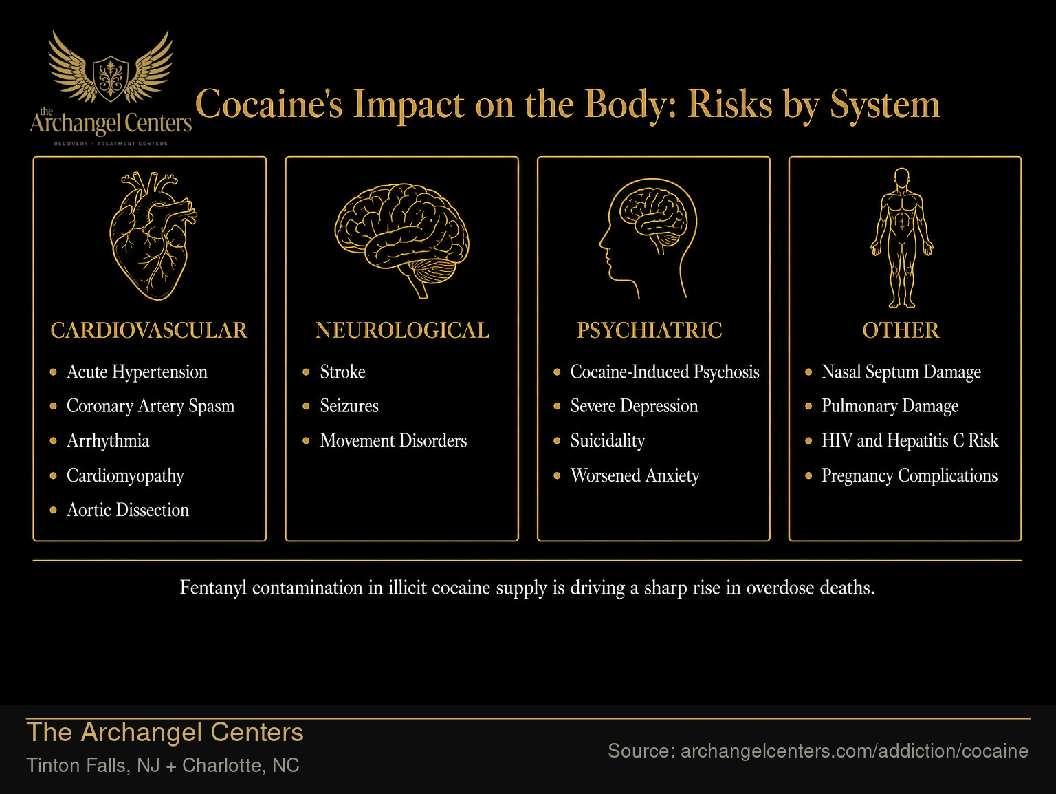Cocaine's Impact on the Body: Risks by System