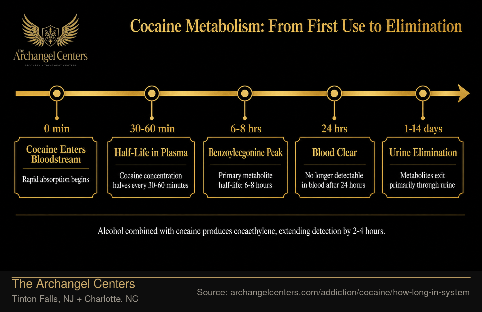 Cocaine Metabolism: From First Use to Elimination