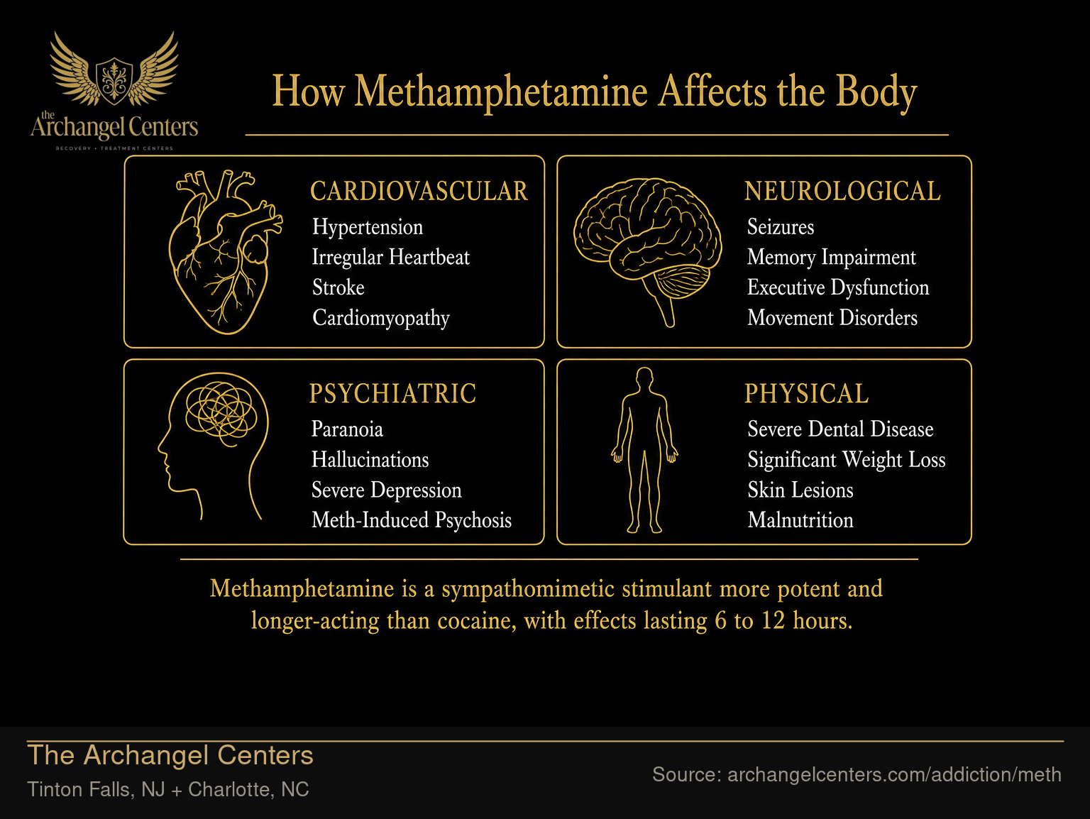 How Methamphetamine Affects the Body