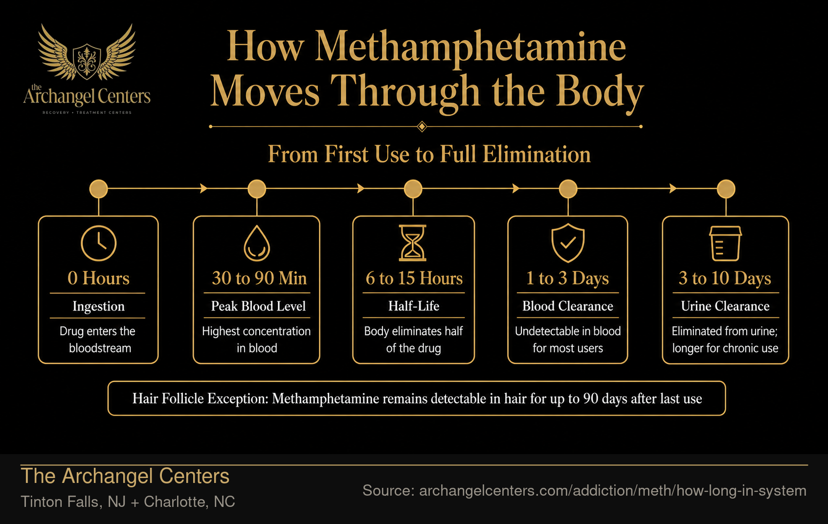 How Methamphetamine Moves Through the Body